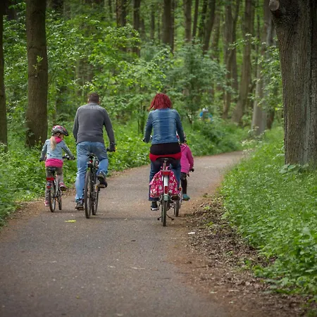 Ruebezahl Am Mueggelsee, Haus 20 Mohn Mit Eigener Sauna, Idealer Ort Fuer Natur- Und Erholungssuchende, Fuer Radfahrer Und Familien Mit Kindern Vakantiehuis Berlijn